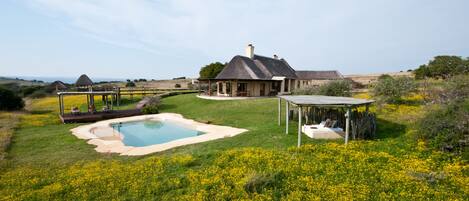 A house with a swimming pool, surrounded by a grassy area with yellow flowers.