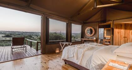 Hlosi Game Lodge - Amakhala Game Reserve