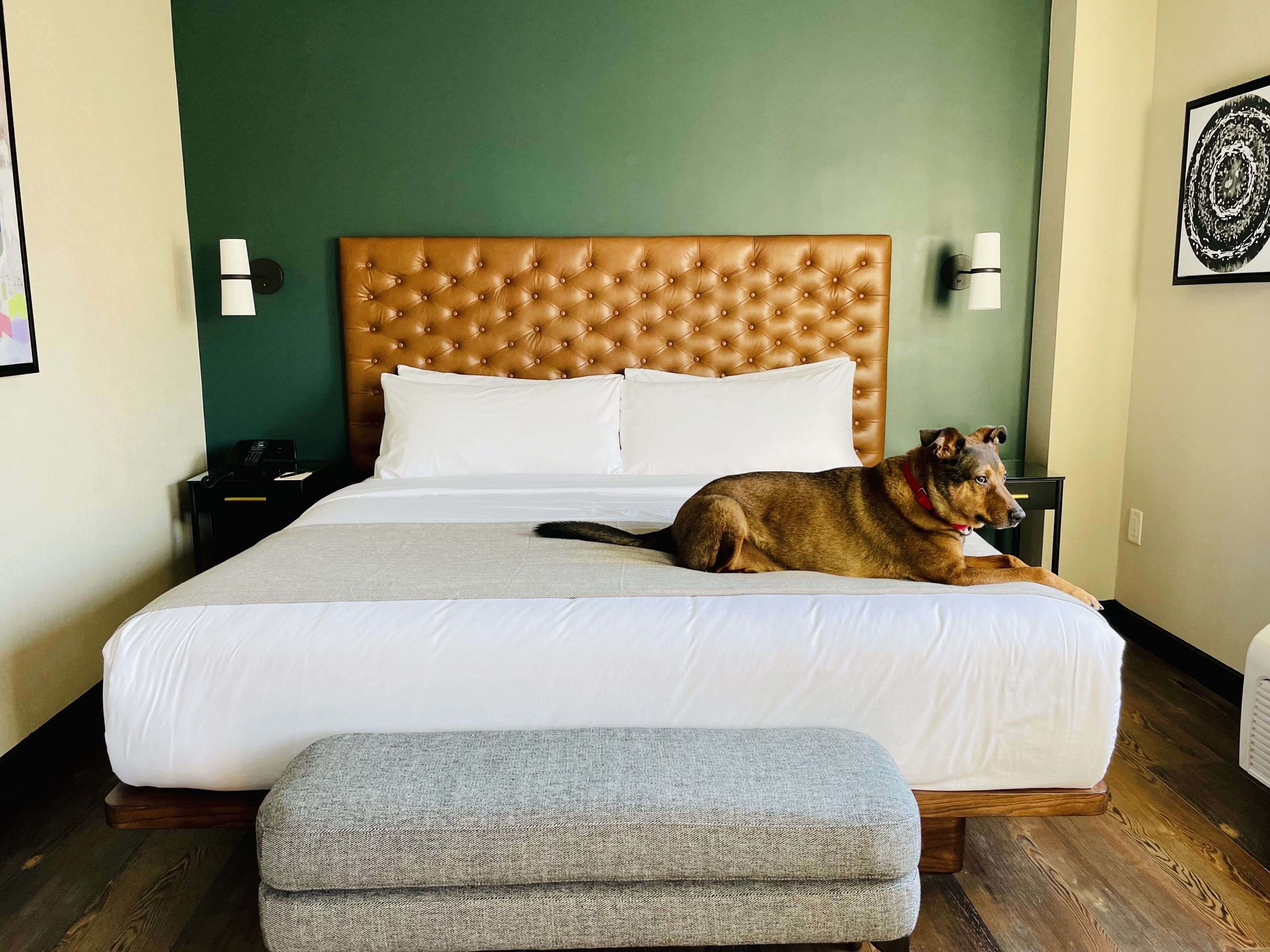 room, 1 king bed | premium bedding, down duvets, minibar, in-room safe