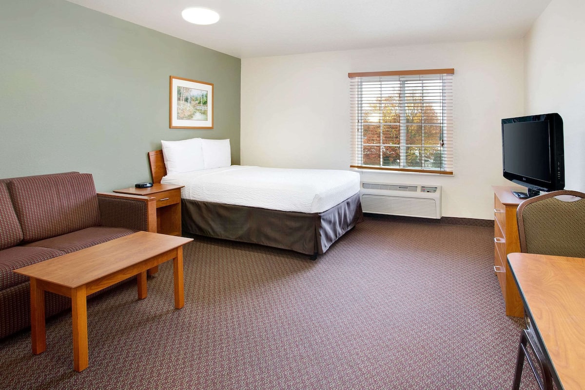 A hotel room with a bed, a sofa, a TV, and a window with blinds.