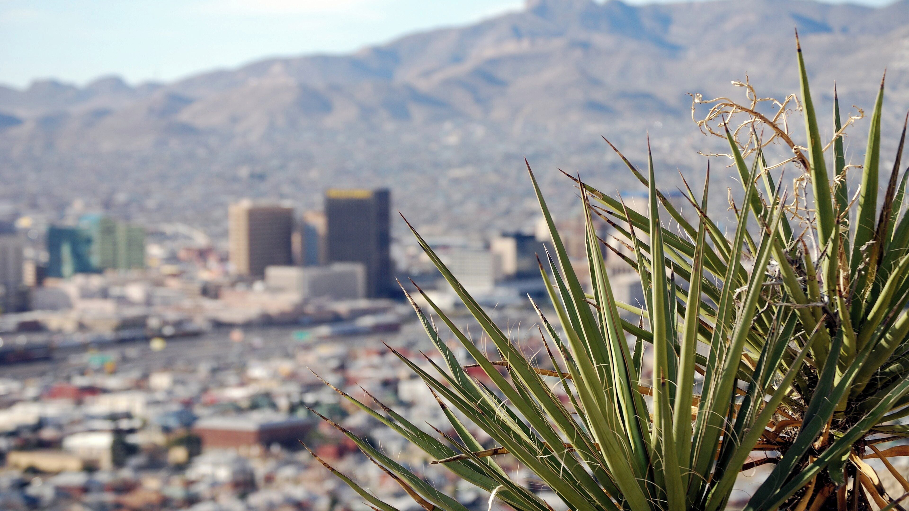 Foto - Indigo El Paso Downtown