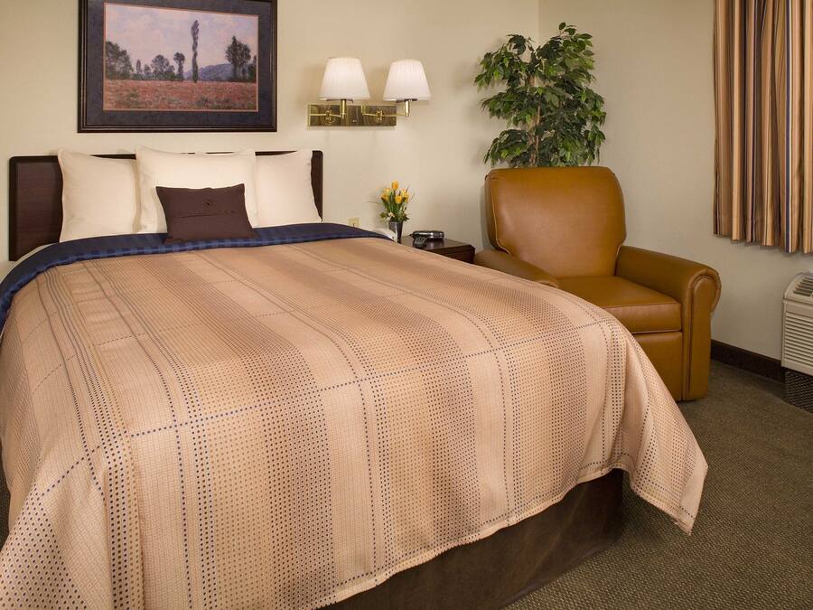 A hotel room with a large bed, a chair, a wall-mounted lamp, a potted plant, and a window with curtains.