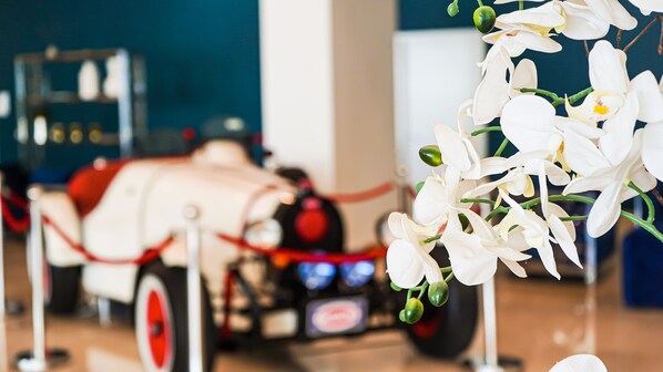 A vintage car on display with a red rope barrier, surrounded by white orchids. - Costa Bahia Hotel & Convention Center (Guayanilla)