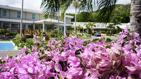 Costa Bahia Hotel Convention Center - Image 29