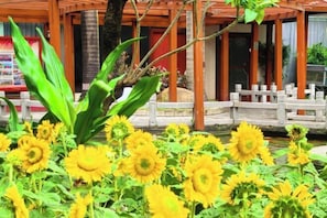 Utsikt från boendet