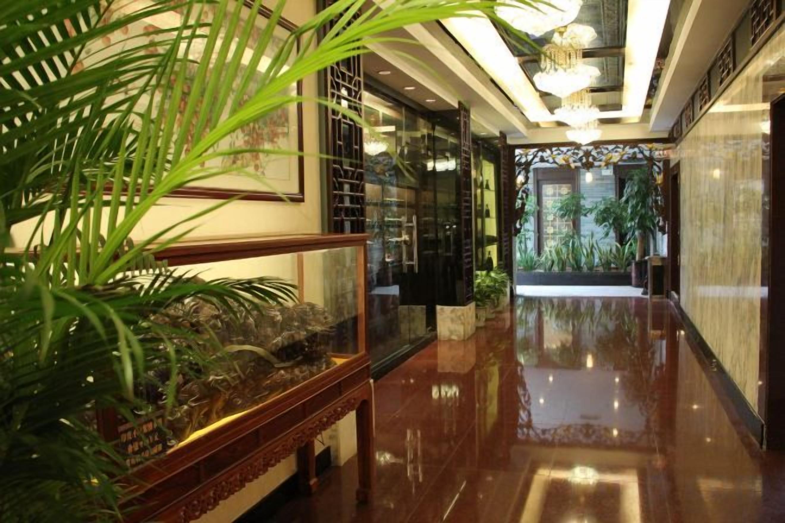 Un couloir élégant, doté d’une vitrine, de plantes en pot et d’un sol réfléchissant.