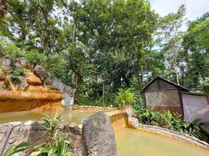 Hot springs - Hotel Kokoro Mineral Hot Springs (La Fortuna)