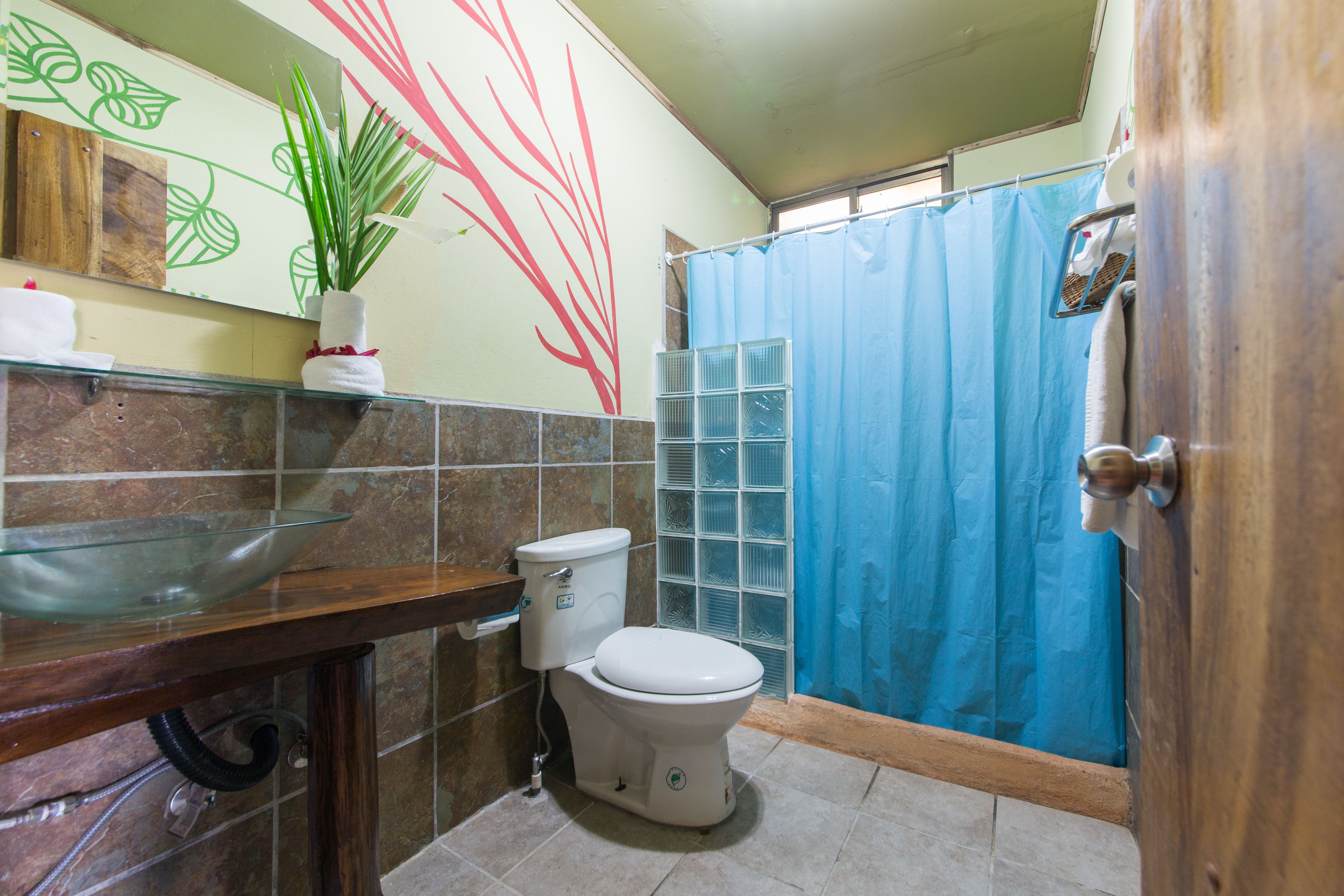 economy room | bathroom shower