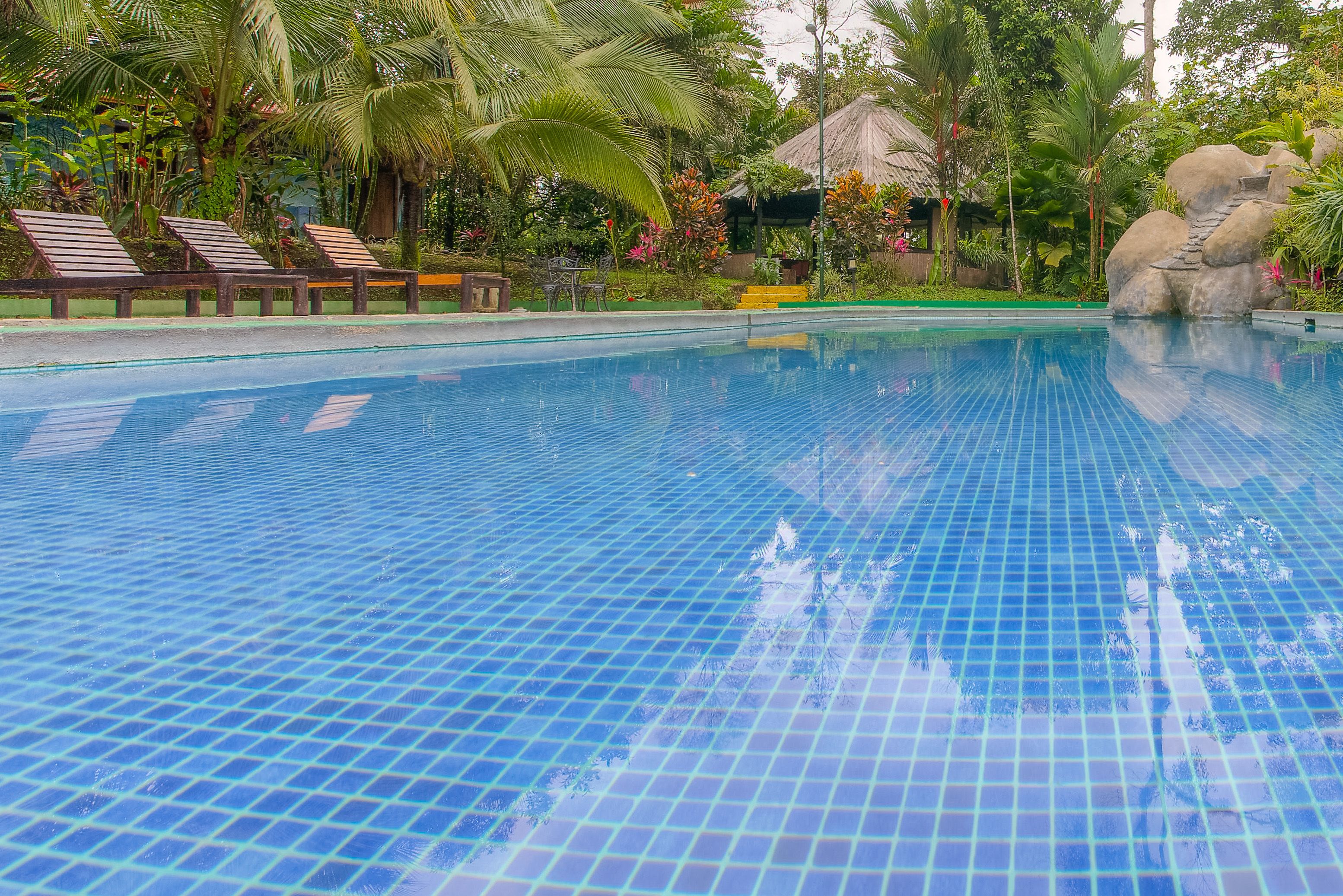 outdoor pool, pool loungers