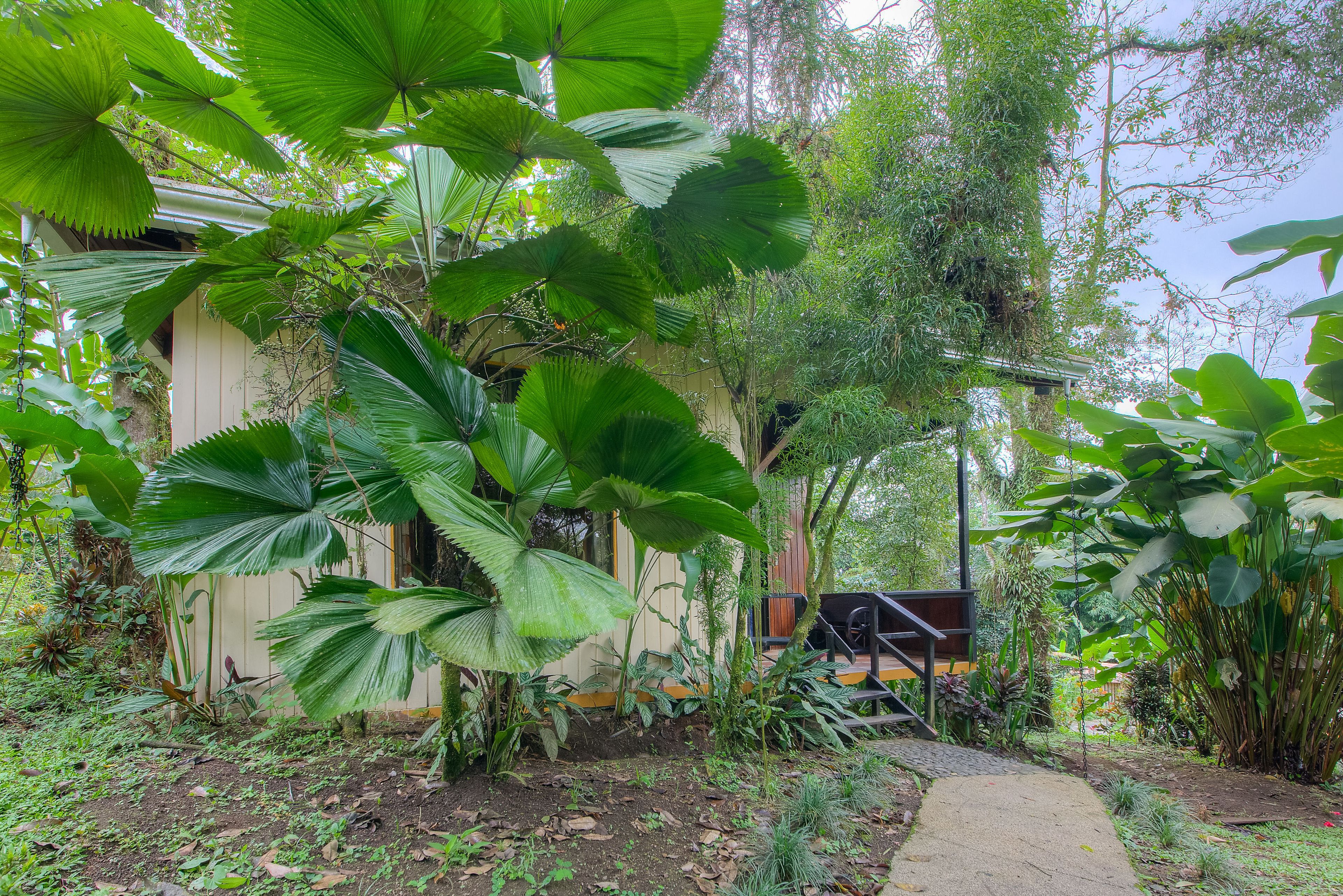 ecolodge cabin with volcano view | garden view