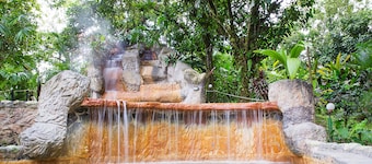Hotel Kokoro Mineral Hot Springs