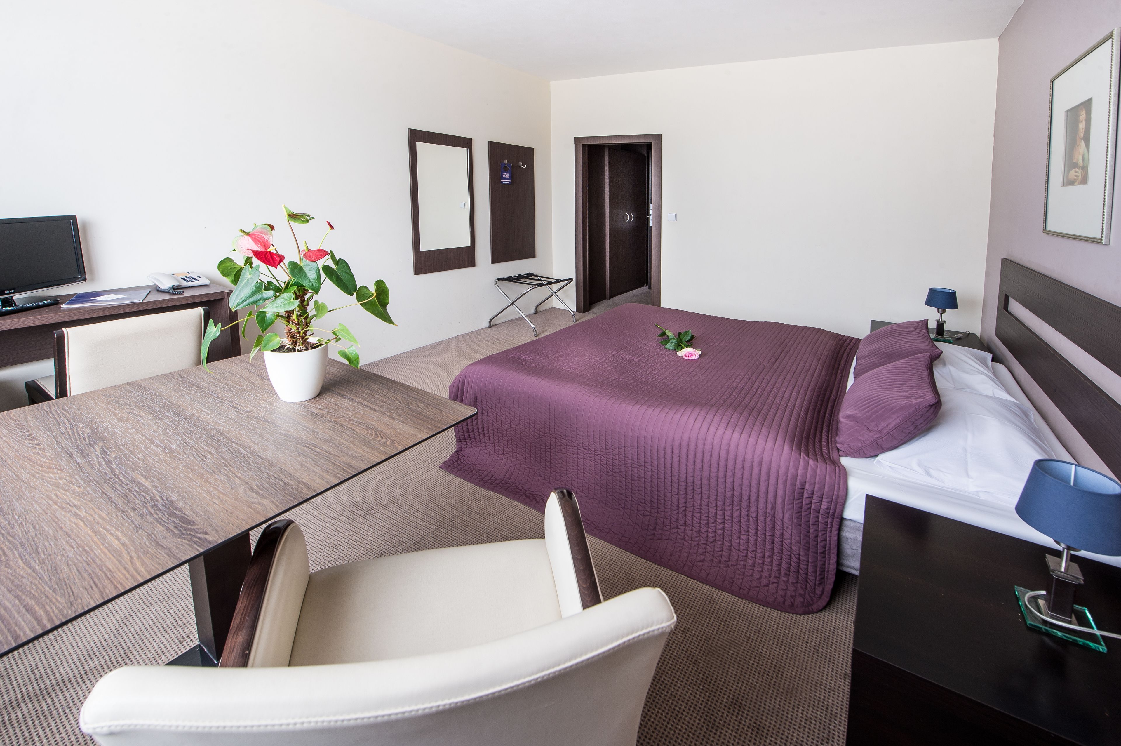 A hotel room with a bed, a desk, a chair, a TV, and a potted plant.