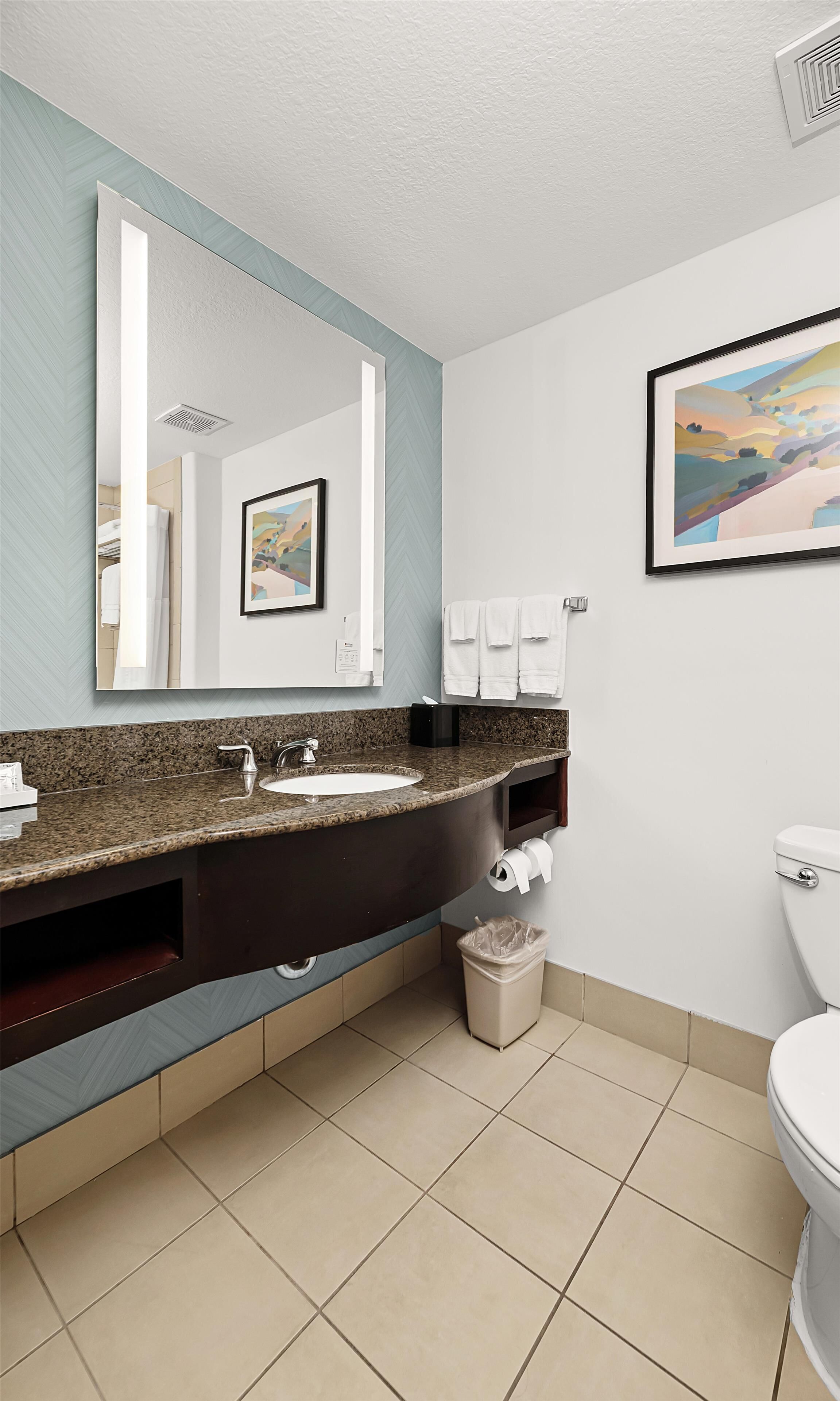 A modern bathroom with a granite countertop sink, a large mirror, and a toilet.