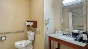Ein Badezimmer mit Toilette, Waschbecken, Spiegel, Dusche und Handtuchhalter.