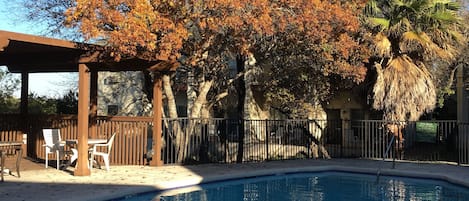 Seasonal outdoor pool, pool loungers