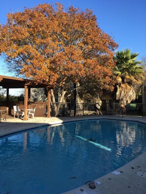 Seasonal outdoor pool, sun loungers - Mountain Star Lodge (Austin)