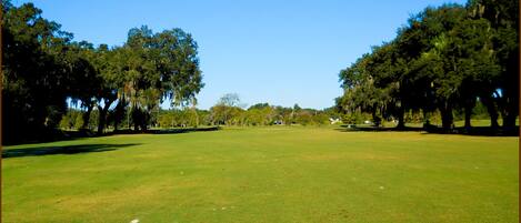 Ein Golfplatz unter blauem Himmel, umgeben von Bäumen und einem gepflegten Rasen.