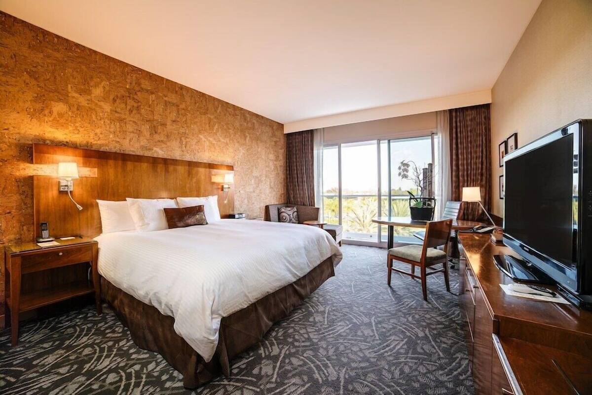 A hotel room with a large bed, a desk with a television, and a view of the outdoors.