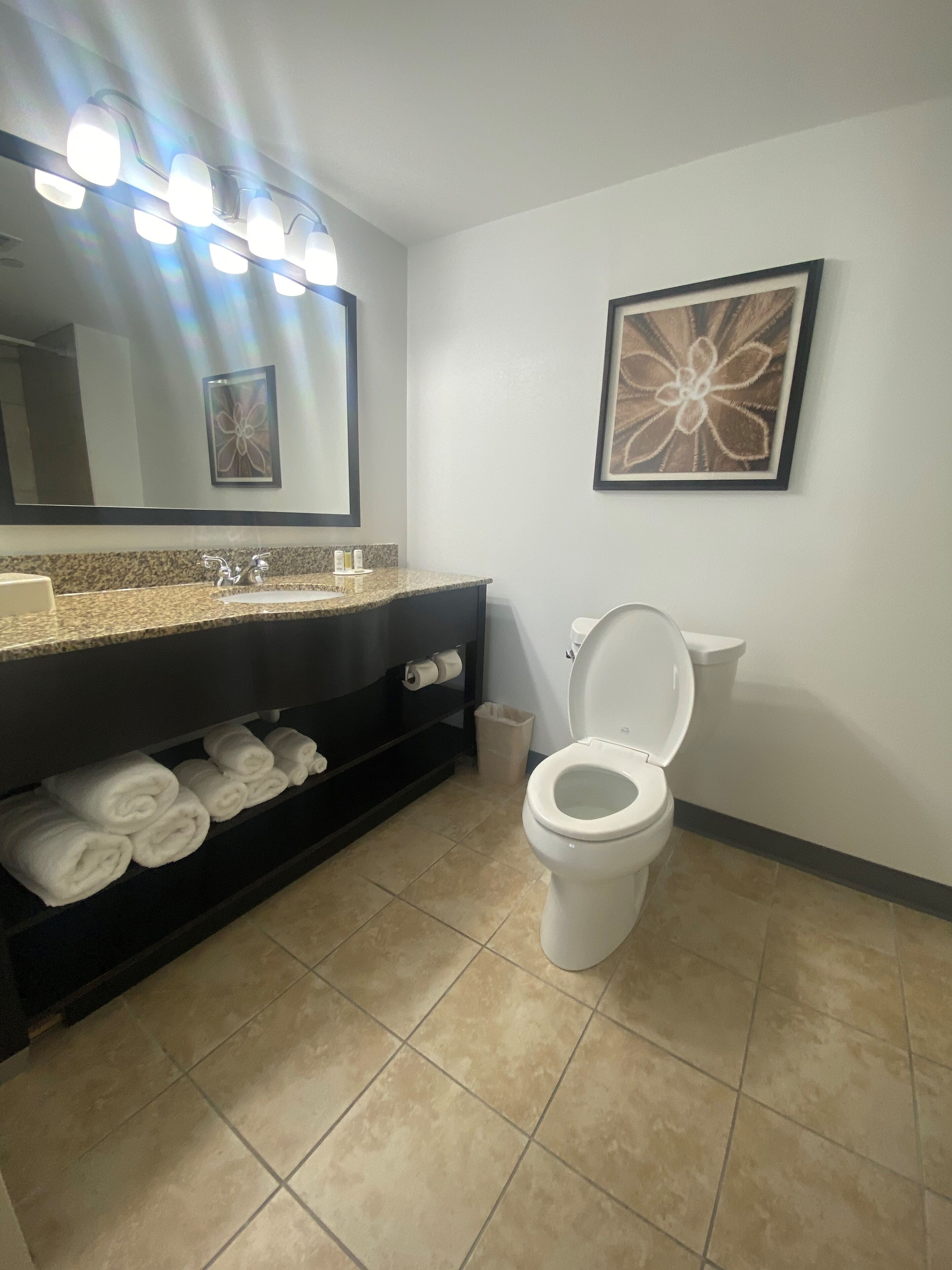Un baño con lavamanos, espejo, toallero, inodoro y una obra de arte floral enmarcada en la pared.