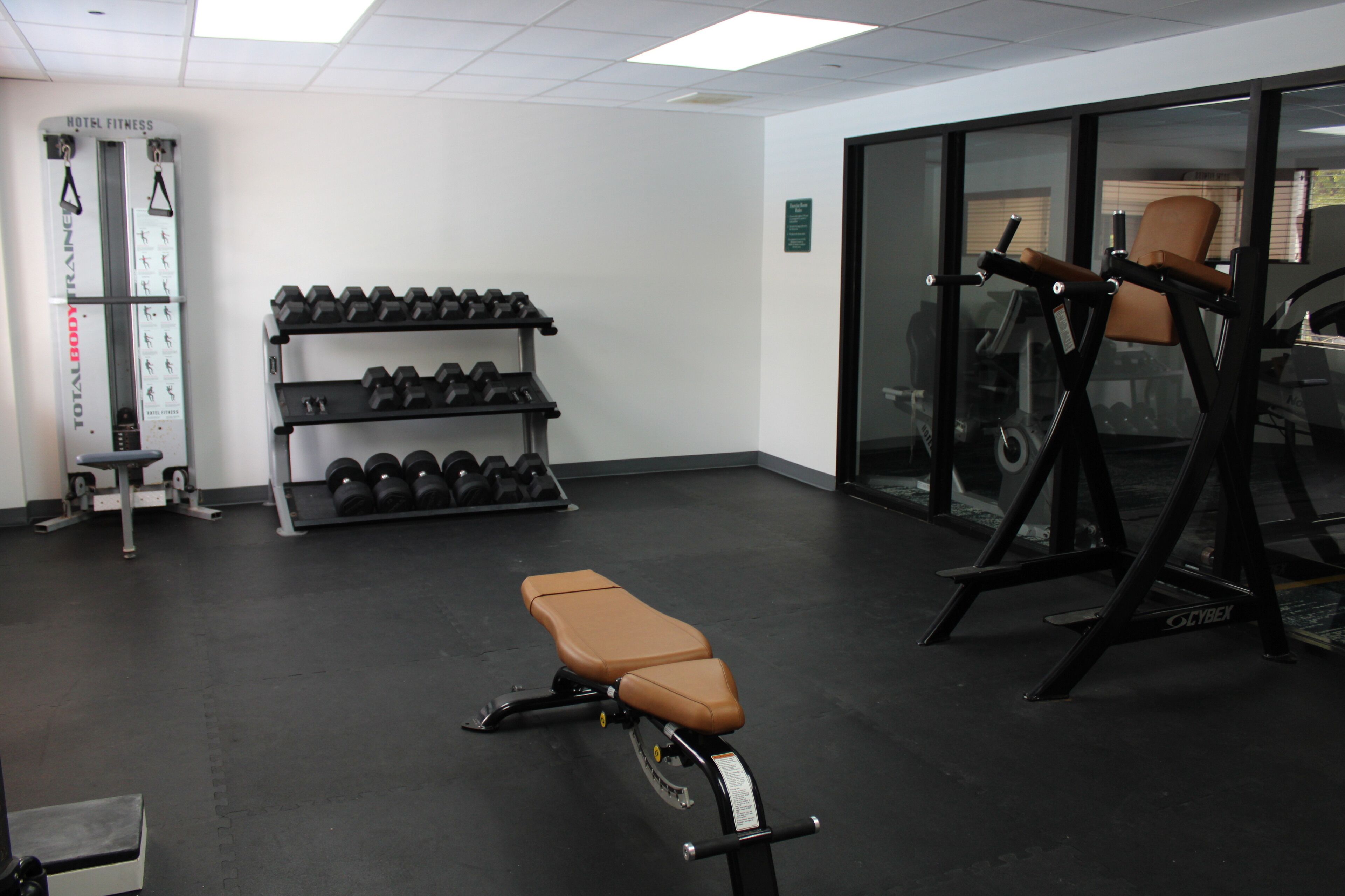 A gym with exercise equipment, including dumbbells, a bench, and a squat rack.