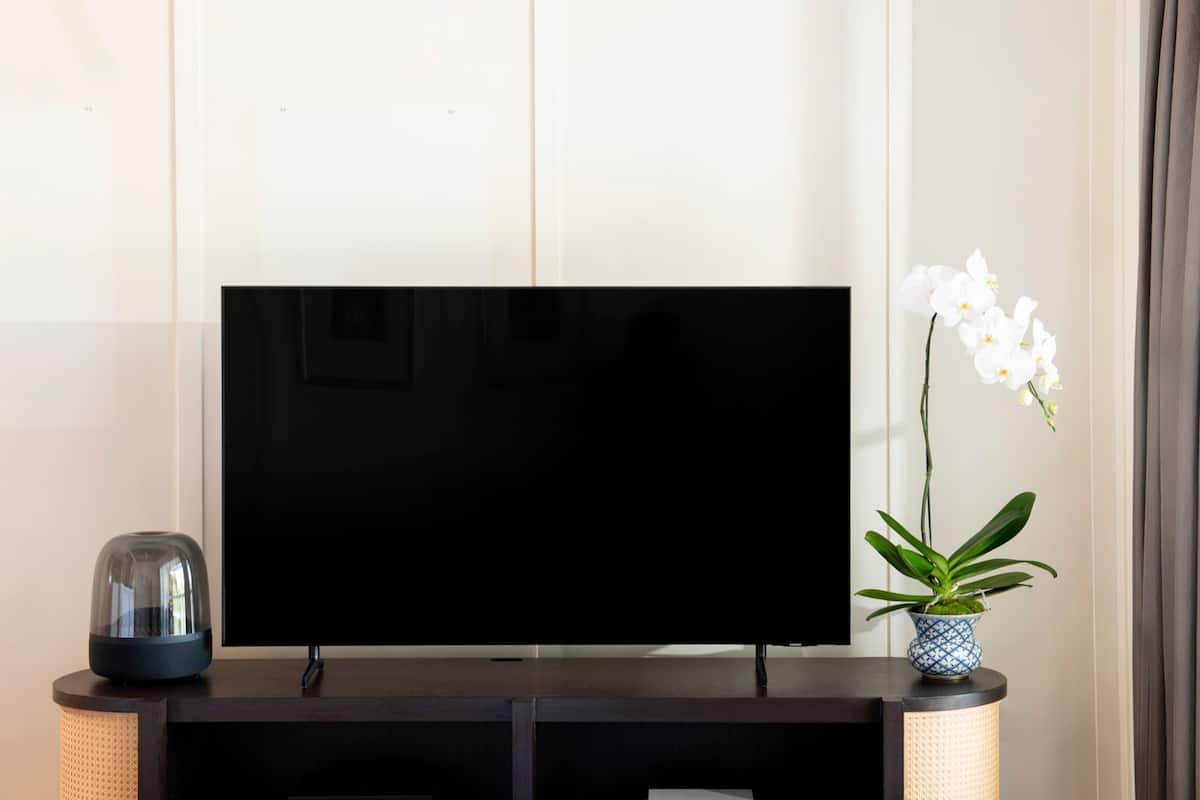 En platt-TV står på en mörk träinredd TV-bänk, och bredvid den finns en liten orkidé i en kruka.
