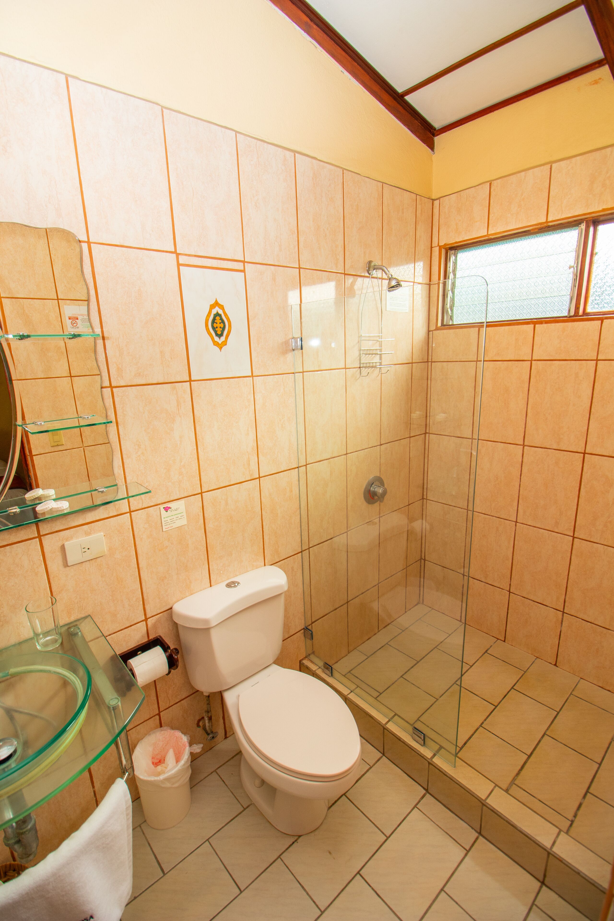 Foto - Hotel La Rosa de America