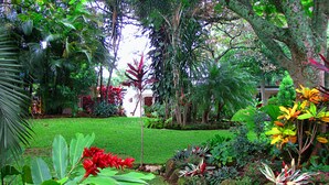 A lush garden with a variety of tropical plants and a well-maintained lawn. - Hotel La Rosa de America (San José)