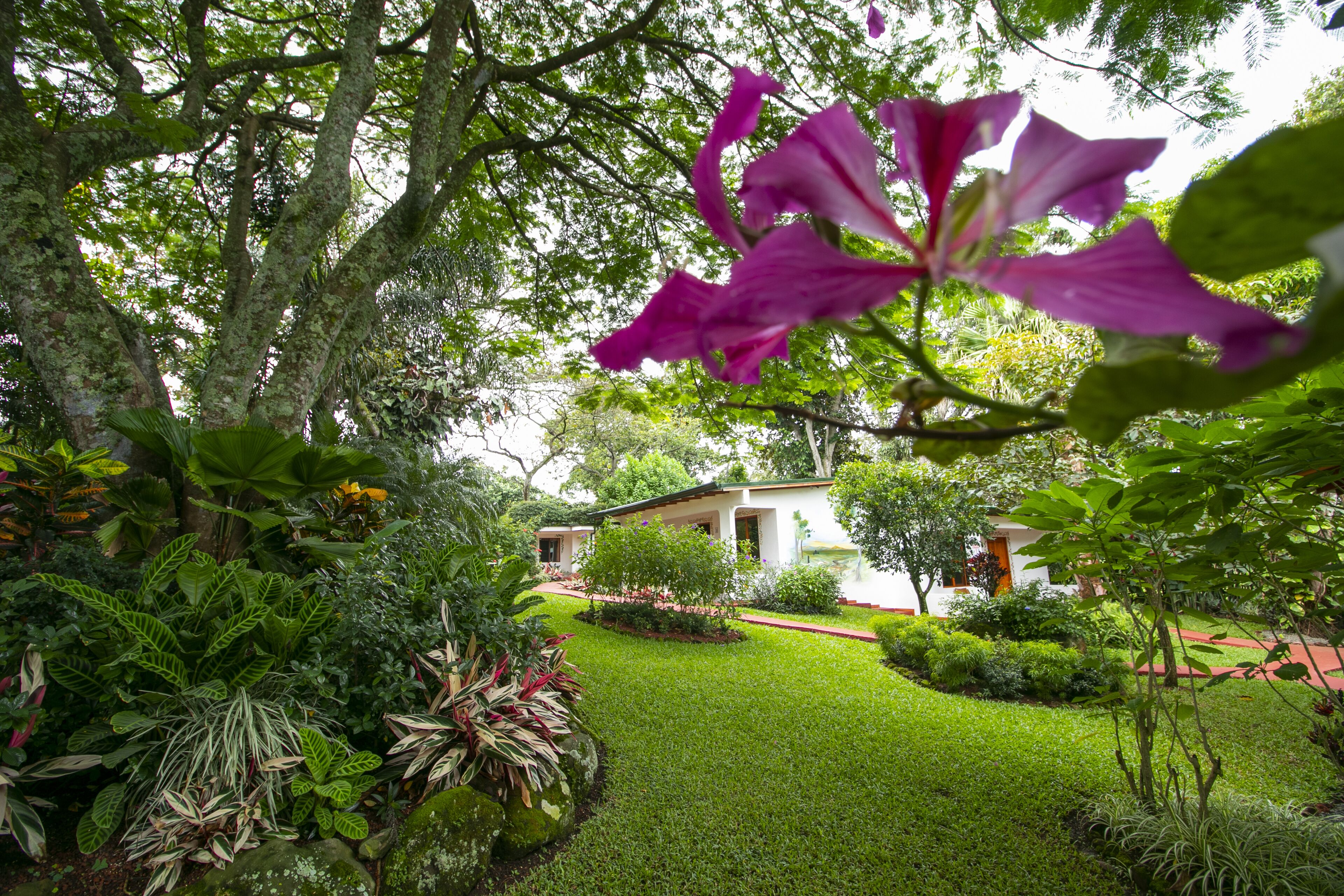 Un jardin luxuriant, avec une grande variété de plantes, et un bâtiment blanc surmonté d’un toit rouge.