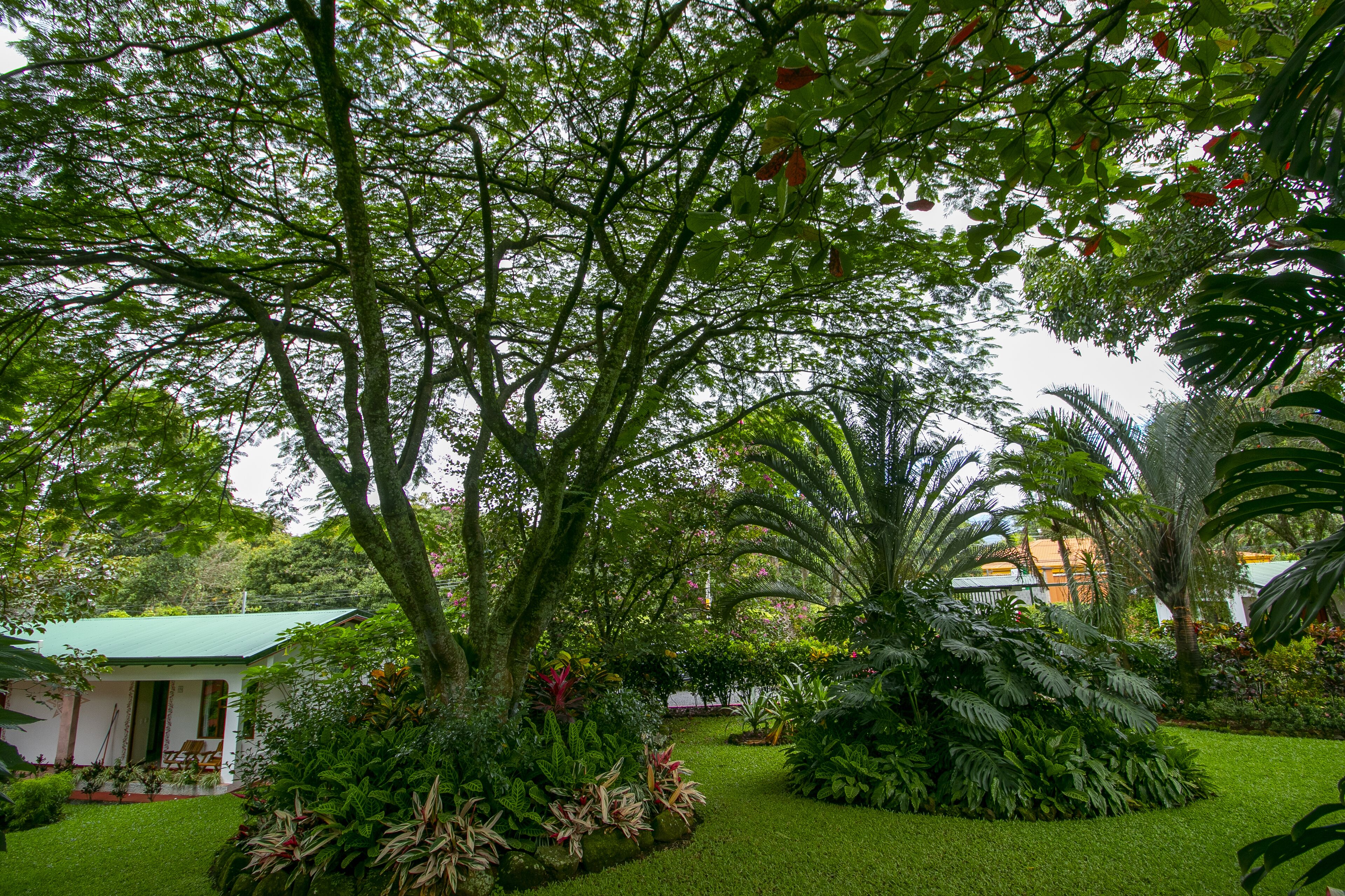 Jardin