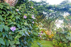 花園