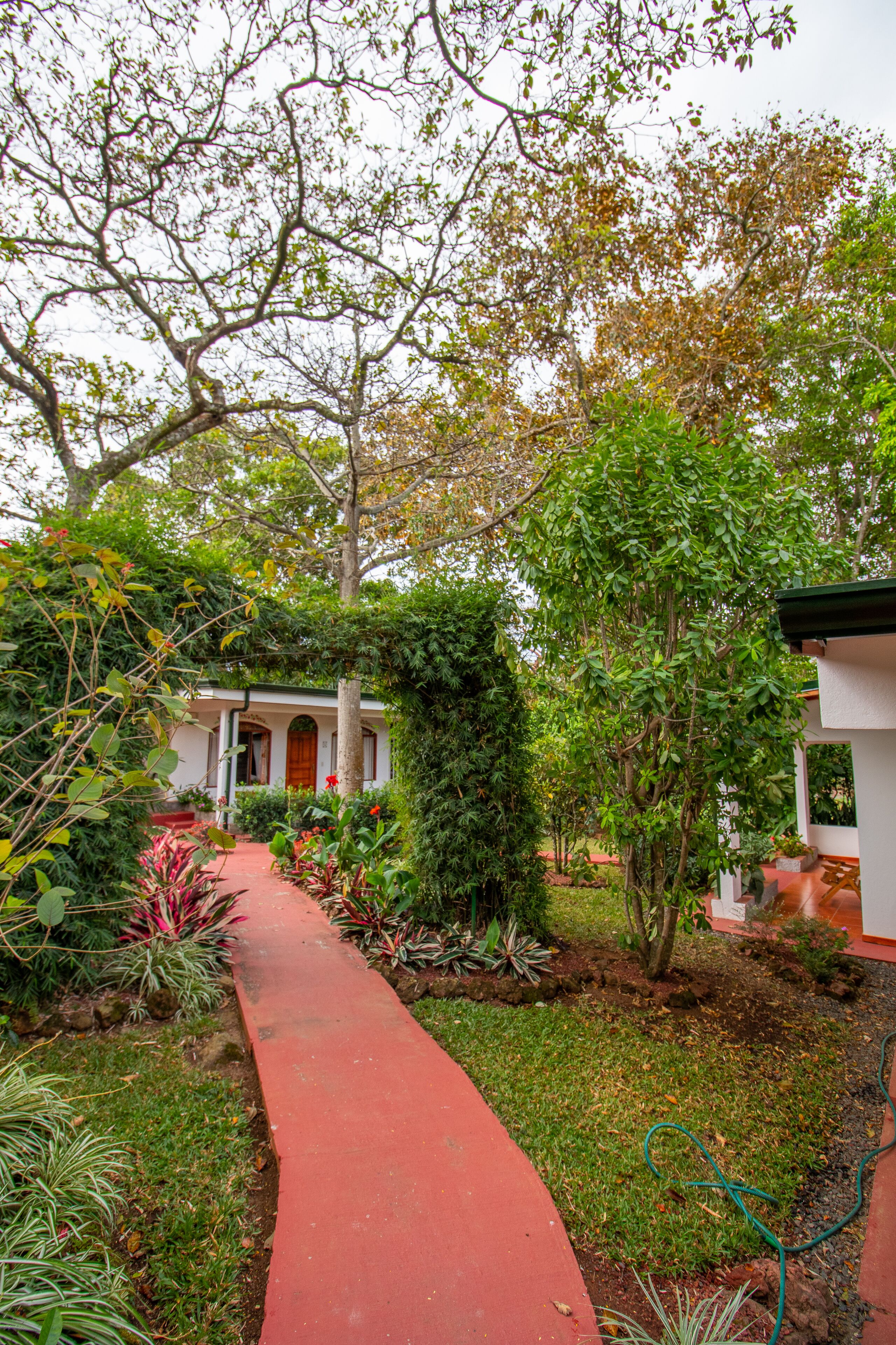 A garden pathway leading to a building with a red door, surrounded by lush greenery and various plants.