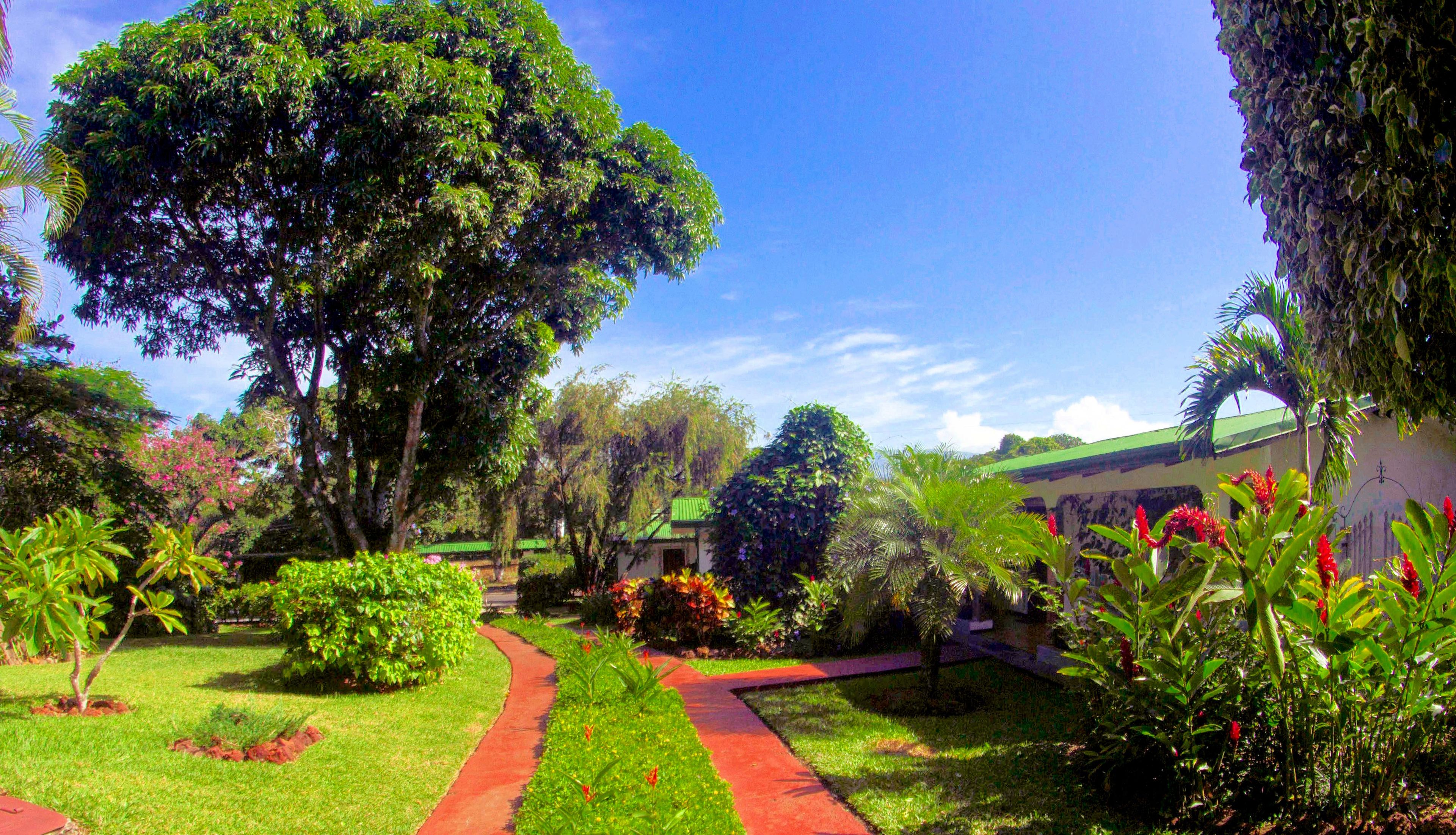 Un jardín con un sendero rojo, abundante vegetación y un edificio con techo verde.