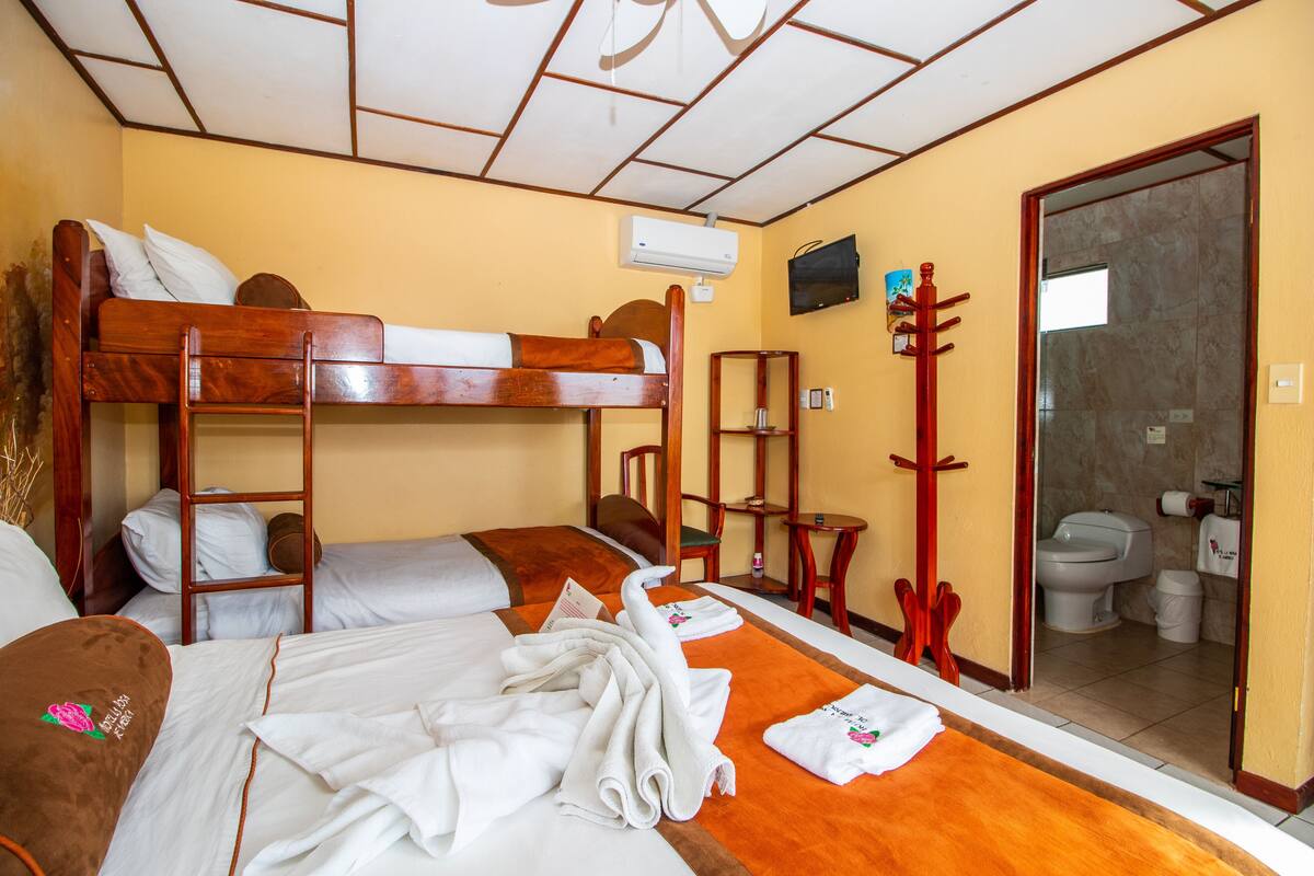 A hotel room with bunk beds, a wooden floor, a bathroom with a toilet and sink, and a TV on the wall.