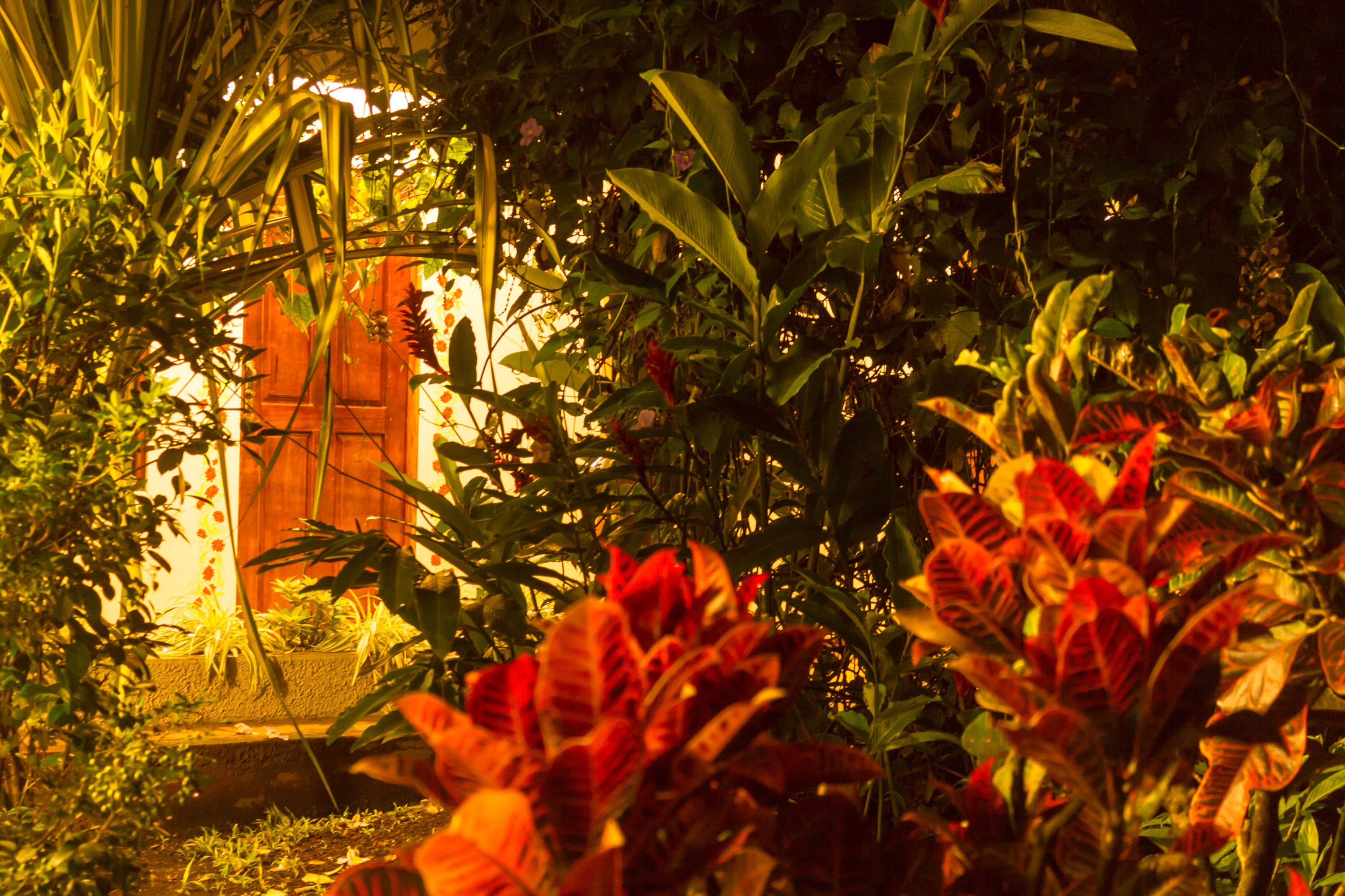 standard single room | view from room