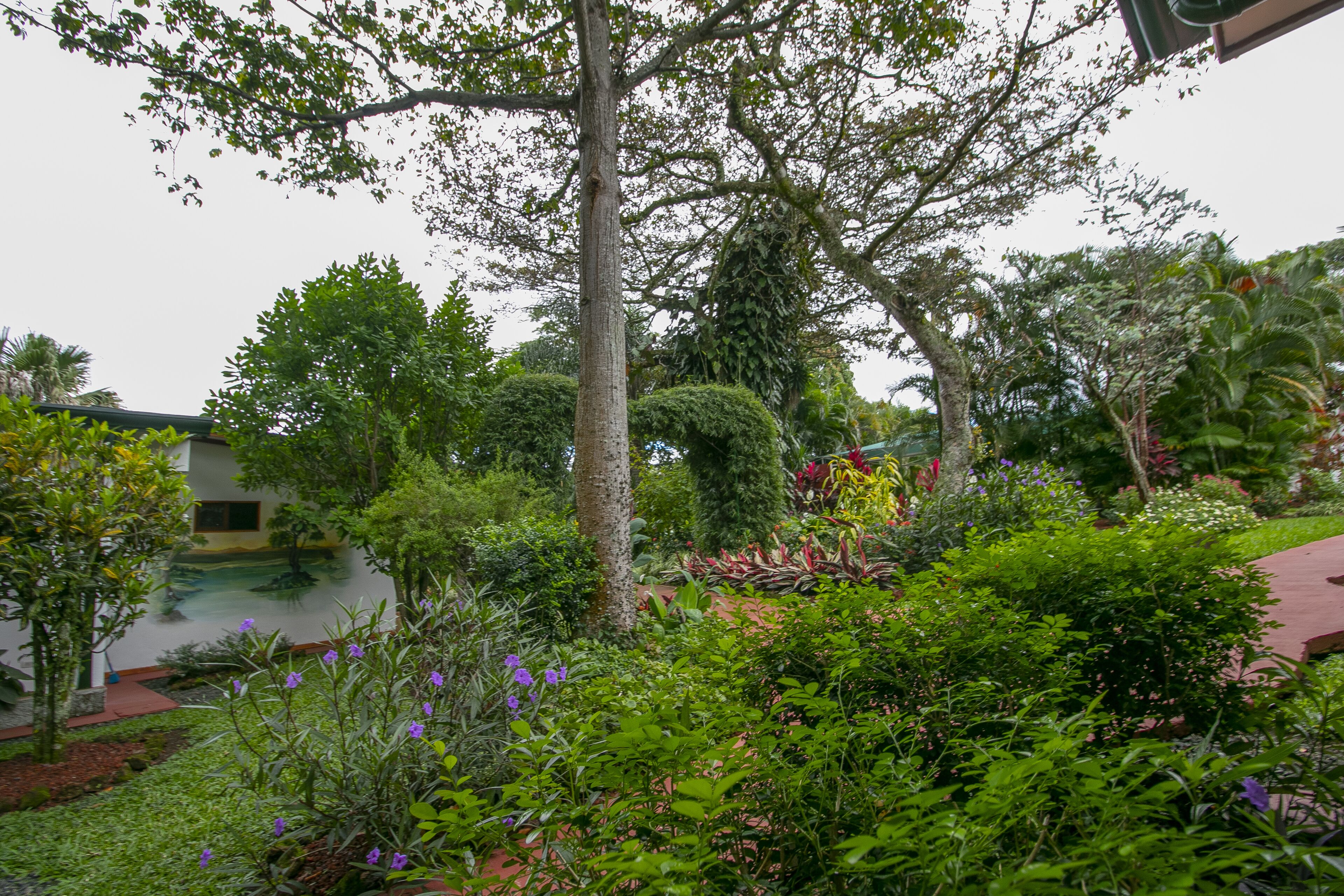 A lush garden with a variety of plants and trees, a small pond, and a building with a red roof in the background.