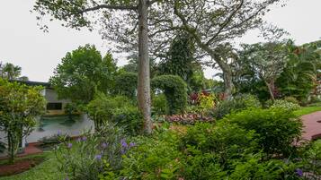 A lush garden with a variety of plants and trees, a small pond, and a building with a red roof in the background.