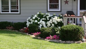 A house with a front yard featuring white hydrangea bushes, pink flowers, and a small table with a grill.