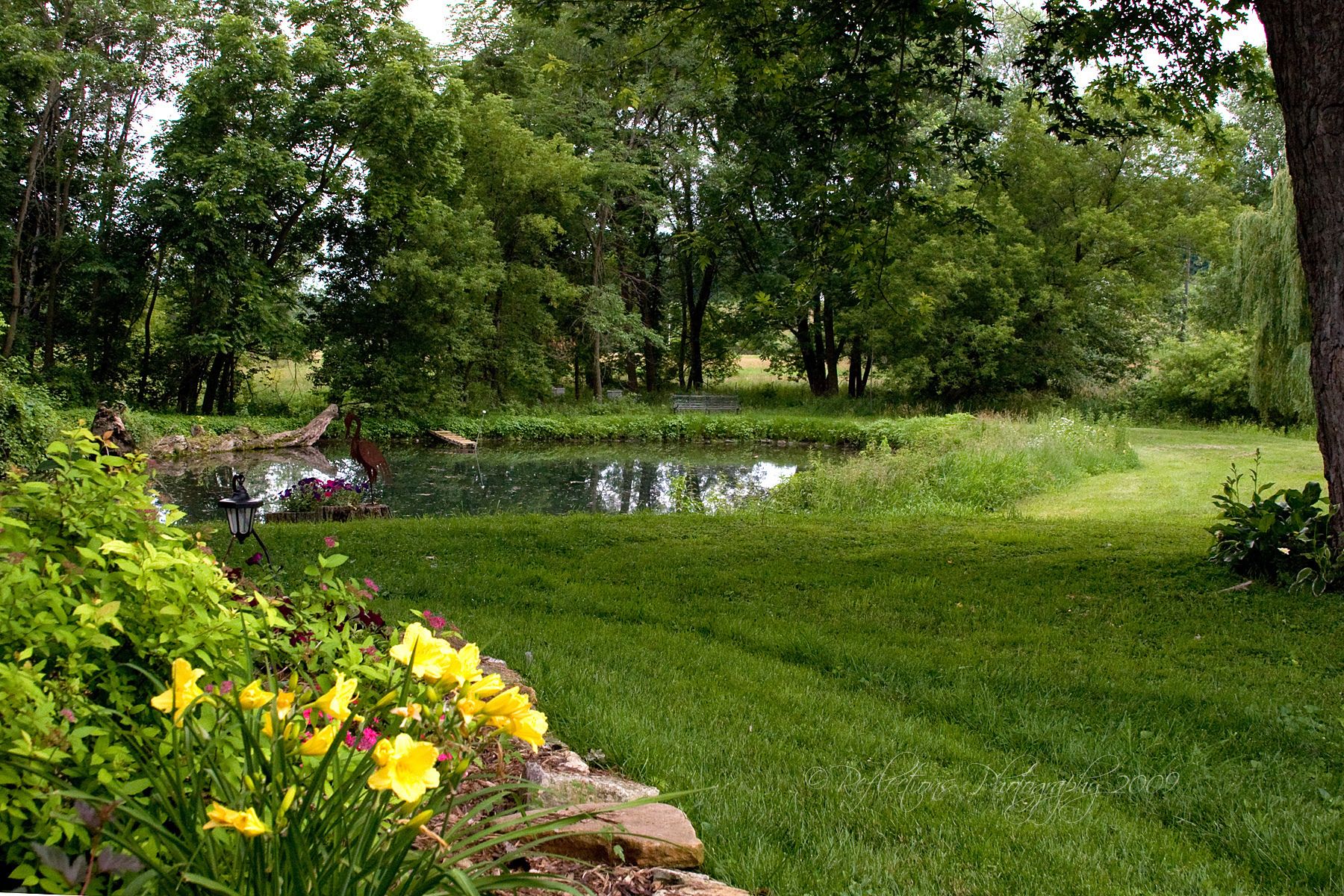 A well-maintained garden with a pond, lush greenery, and a bench.