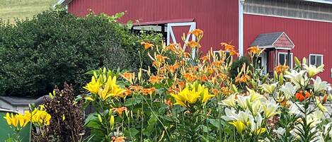 Vista frontal de la propiedad