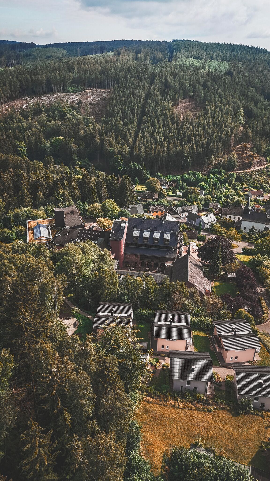 Zona residencial con casas rodeadas de un bosque denso.