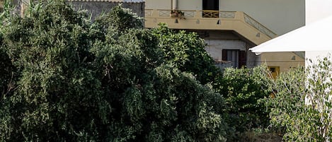 A rooftop terrace with a seating area, a potted plant, and a building with a balcony in the background.