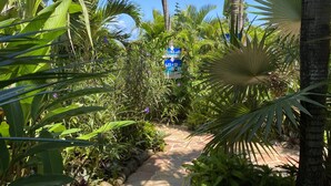 Ein gepflasterter Weg, umgeben von üppiger tropischer Vegetation und Palmen.
