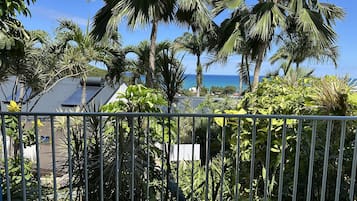 Comfort Studio | Terrace/patio