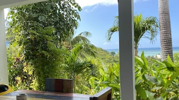 Suite estándar | Terraza o patio