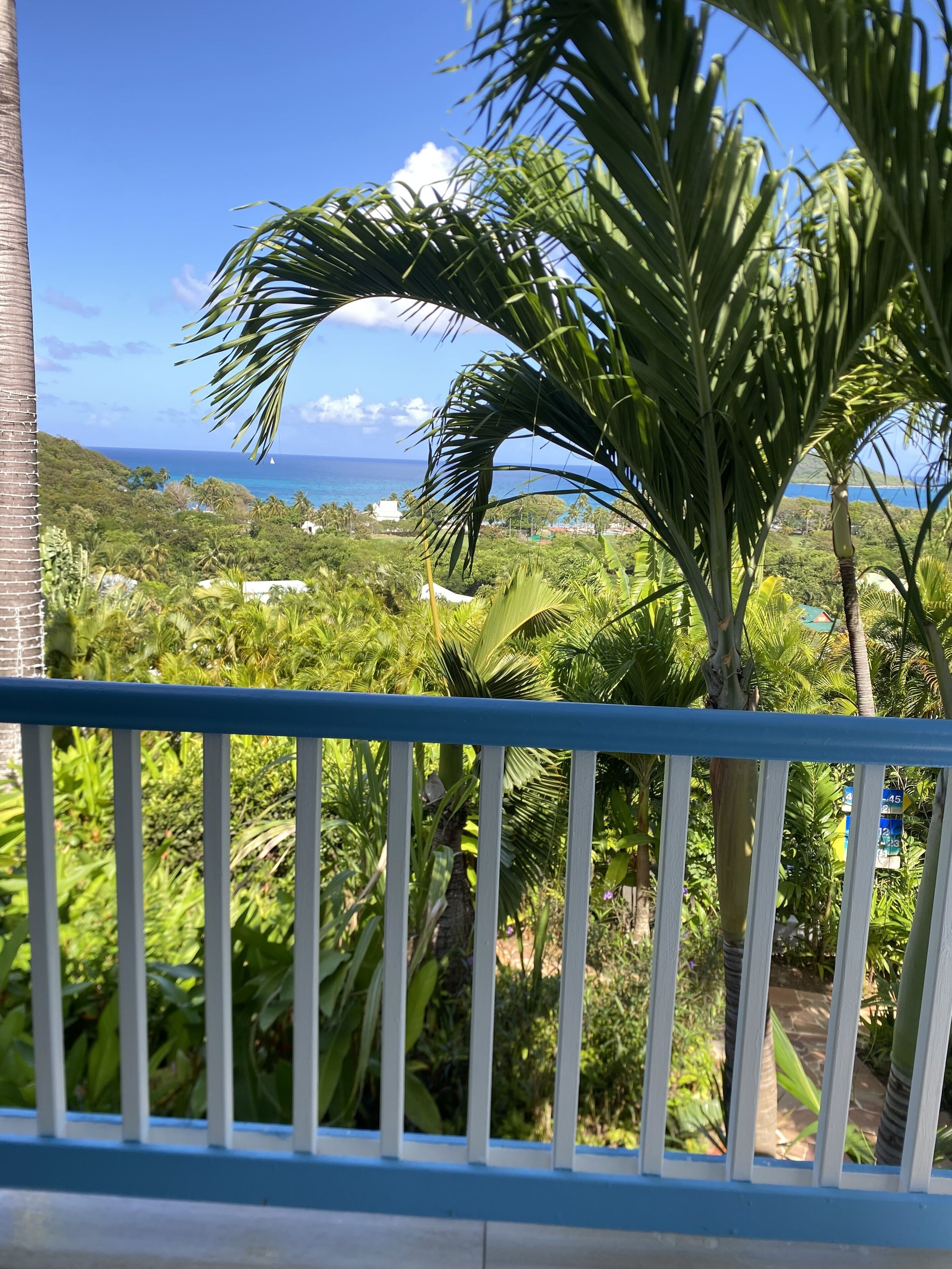 A balcony with a view of a lush green landscape and the ocean.