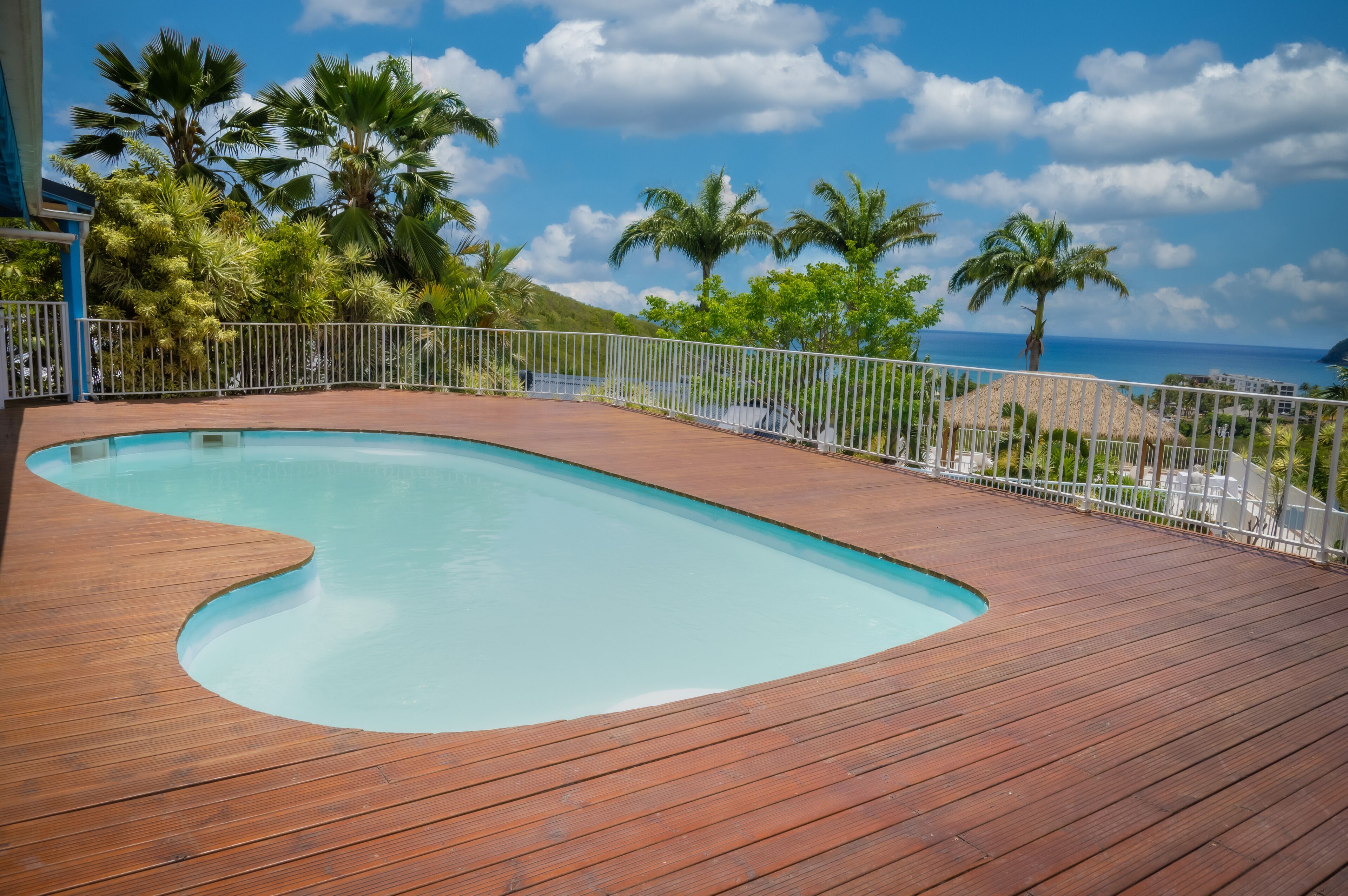Un pontile in legno con piscina, circondato da palme e vista sull'oceano.