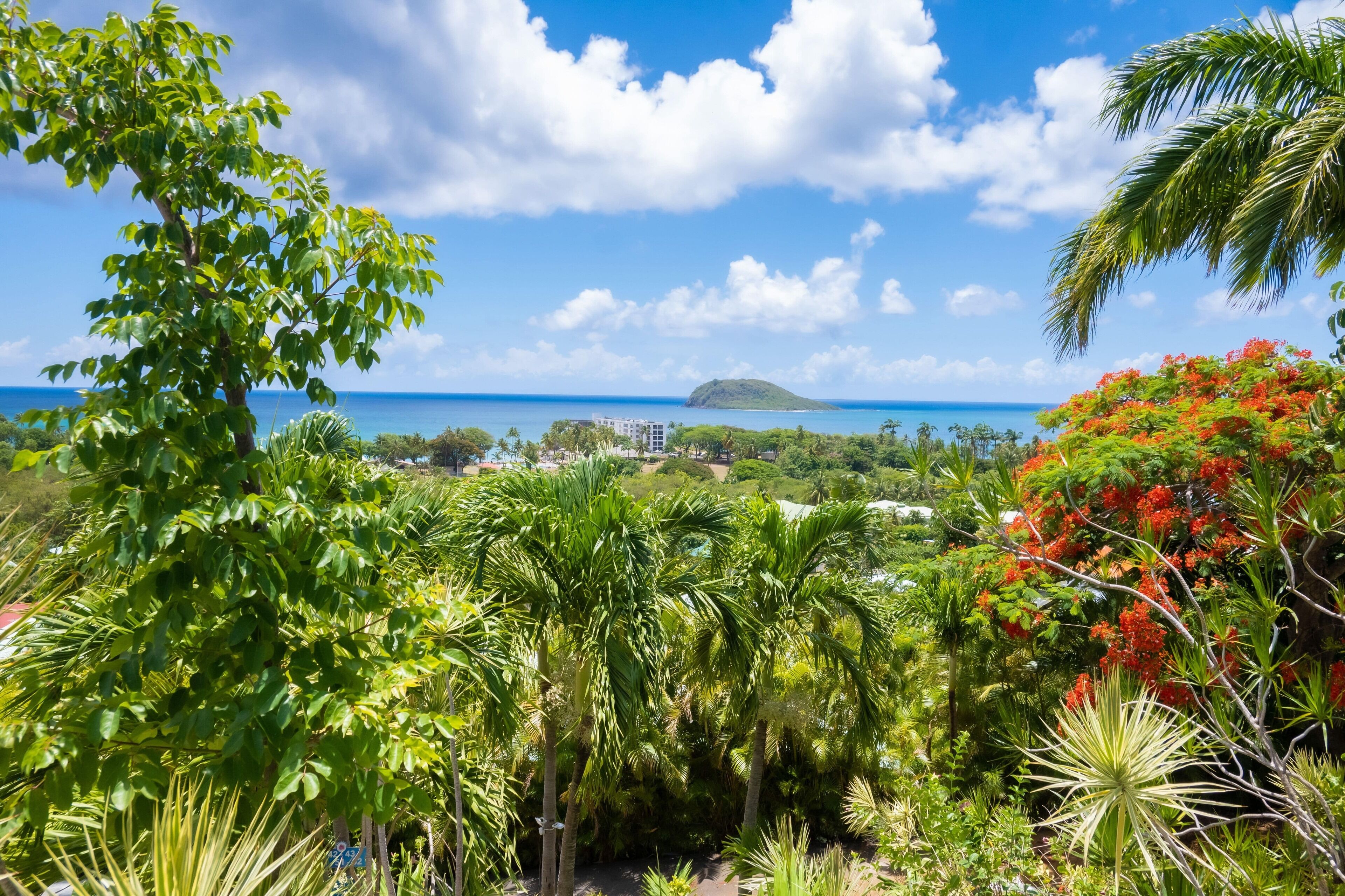 A lush tropical landscape with dense foliage, a clear blue sky, and a distant view of a small island.