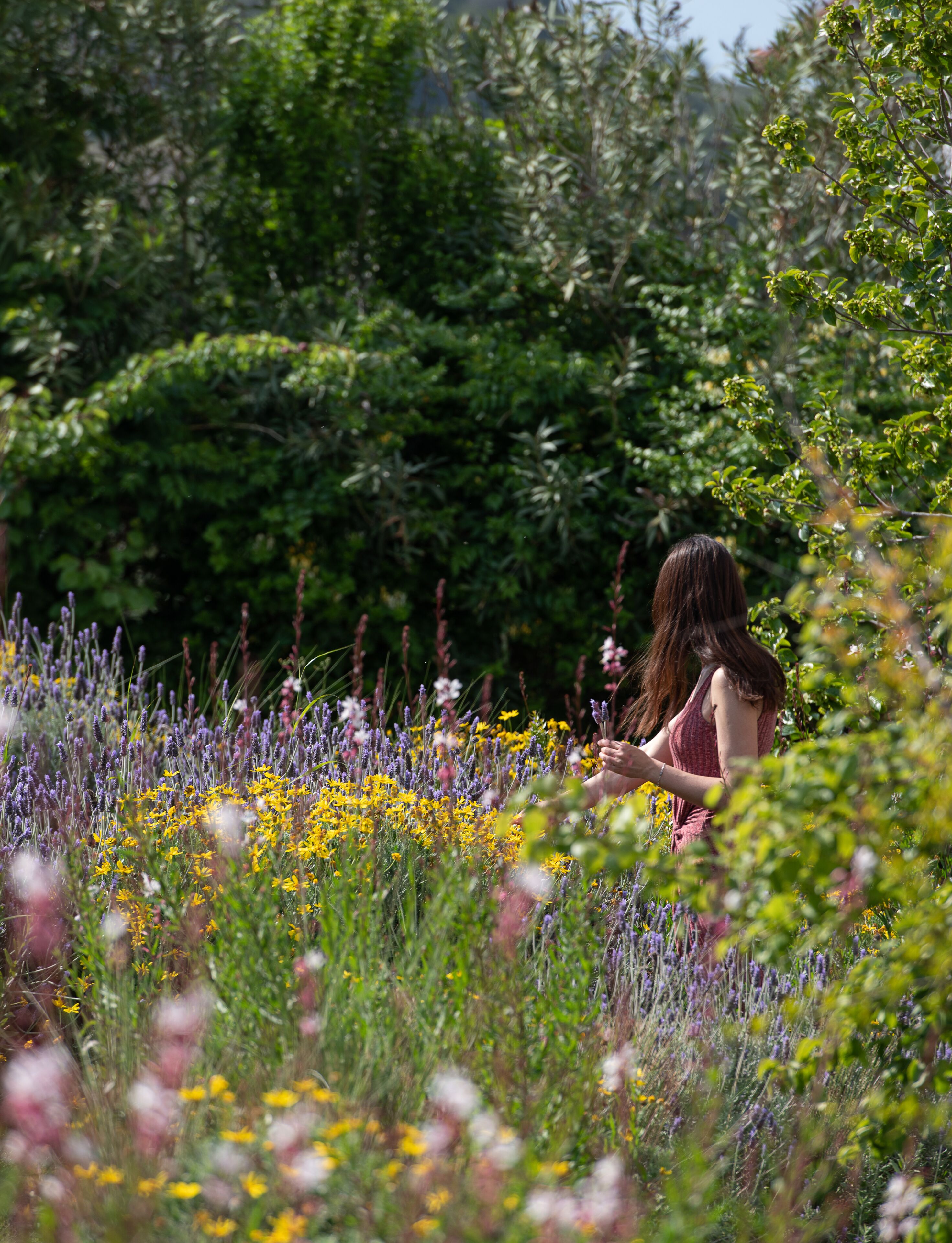triple room, garden view | terrace/patio