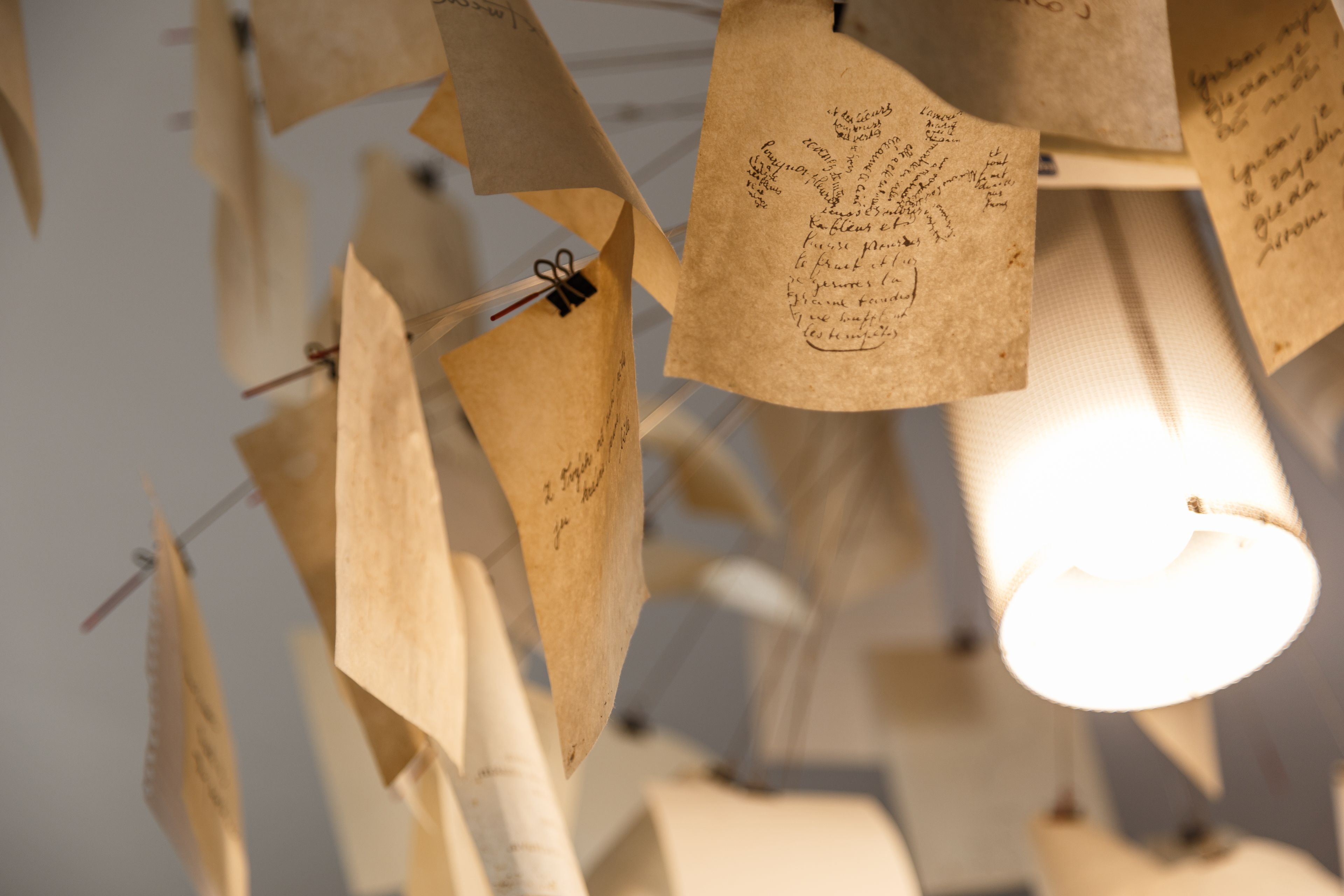 Una exhibición de notas de papel colgantes con mensajes escritos a mano.