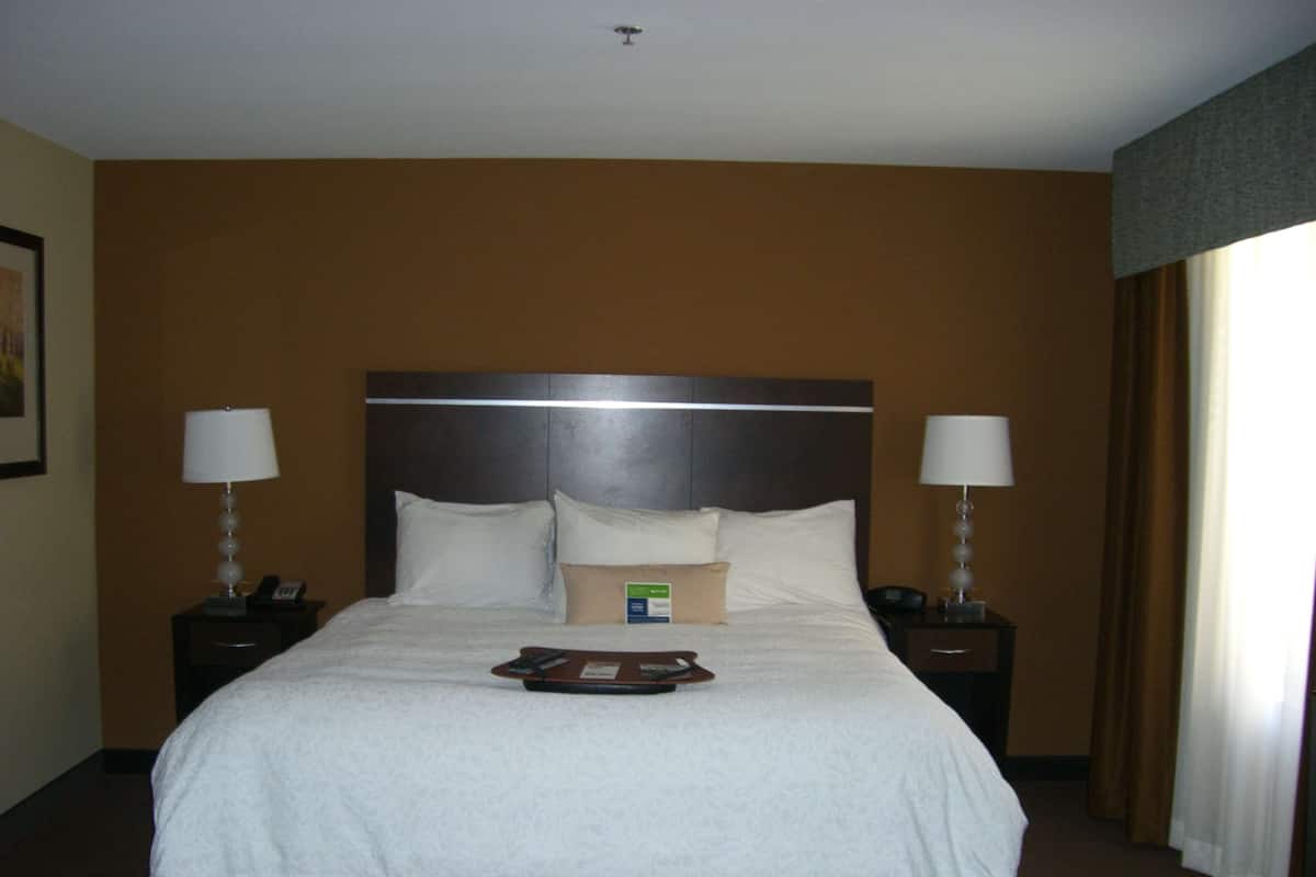 Minibar, in-room safe, iron/ironing board, free WiFi